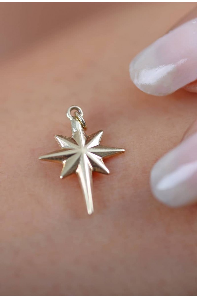 Altın Kolye Ucu Kutup Yıldızı 14 Ayar 0,44 gr 