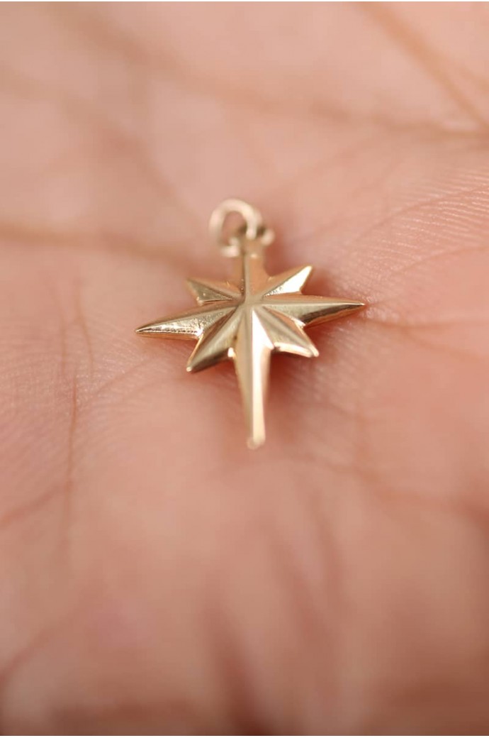 Altın Kolye Ucu Kutup Yıldızı 14 Ayar 0,44 gr 