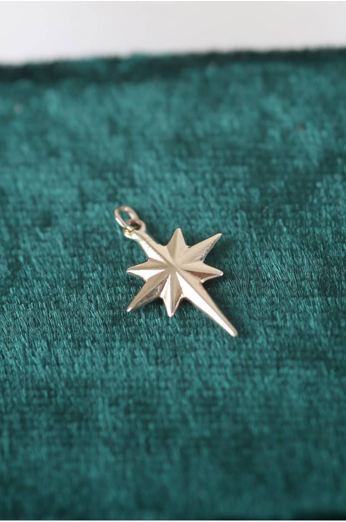 Altın Kolye Ucu Kutup Yıldızı 14 Ayar 0,44 gr 