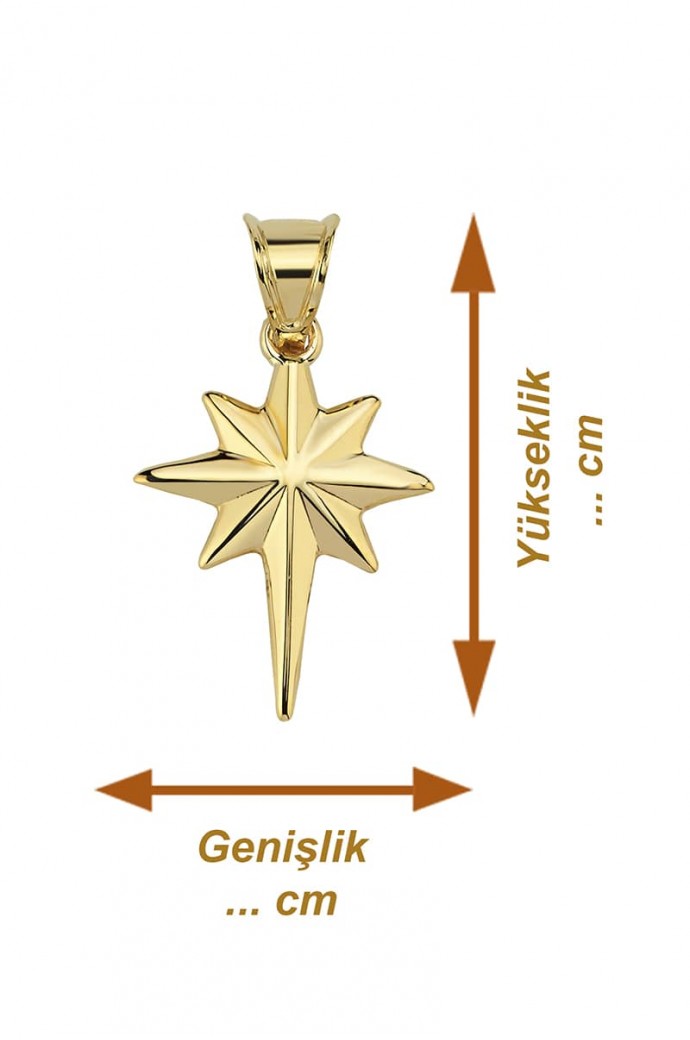 Altın Kolye Ucu Kutup Yıldızı 14 Ayar 0,44 gr 